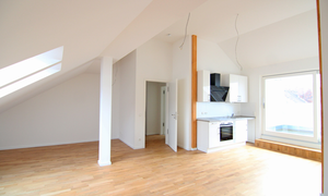 Wohnzimmer mit offener Küche