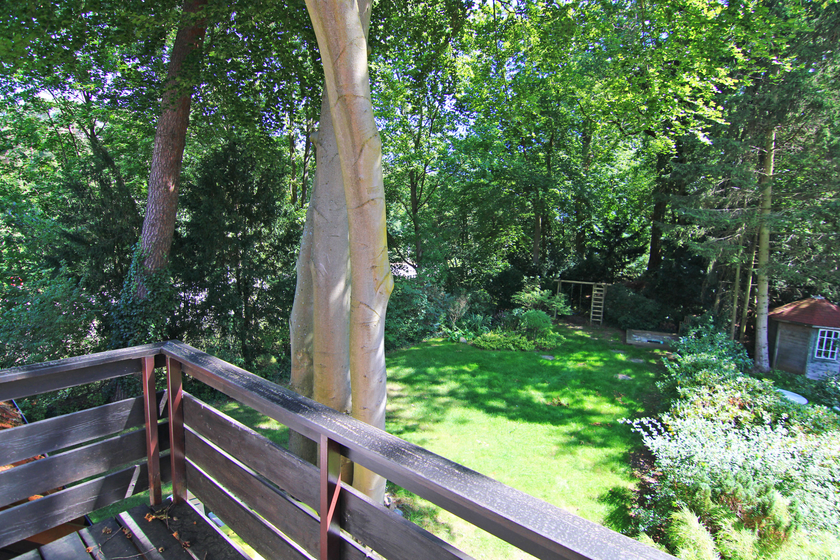 Balkonblick ins Grüne Balkonblick ins Grüne