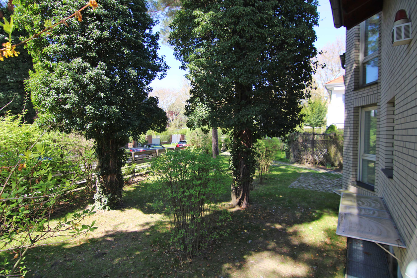 Blick in den Garten Blick in den Garten