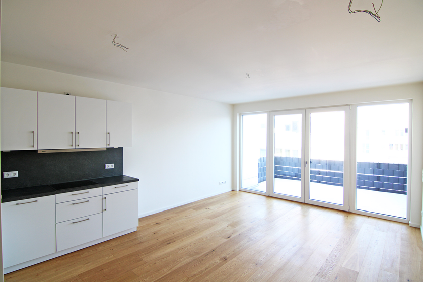 Wohnzimmer mit offener Küche